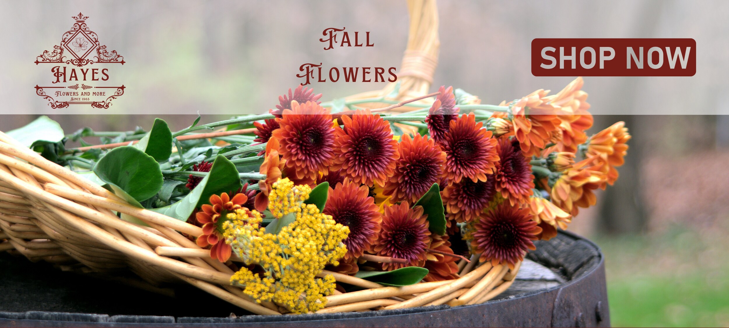 Fall Flowers